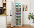 Gorenje FN619EAW6