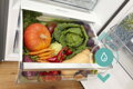 Gorenje R619EAXL6