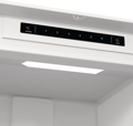 Gorenje RKI419FP1