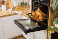 Gorenje BO6737E02BG