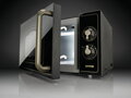 Gorenje MO4250CLB