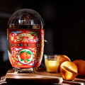 SMEG DOLCE & GABBANA odšťavovač  