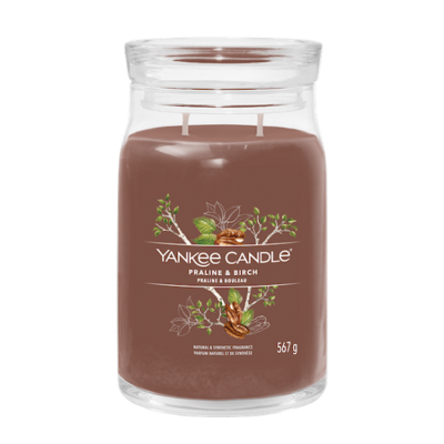 Yankee Candle Praline & Birch