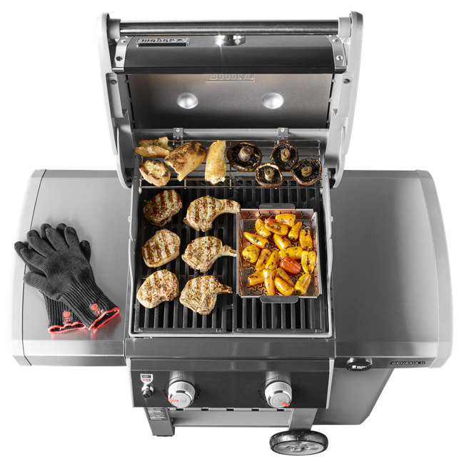 WEBER GENESIS® II E-210 GBS®